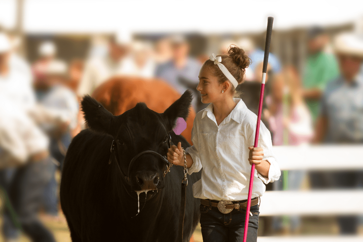 24 Awesome County Fairs in Ohio That You Don't Want to Miss